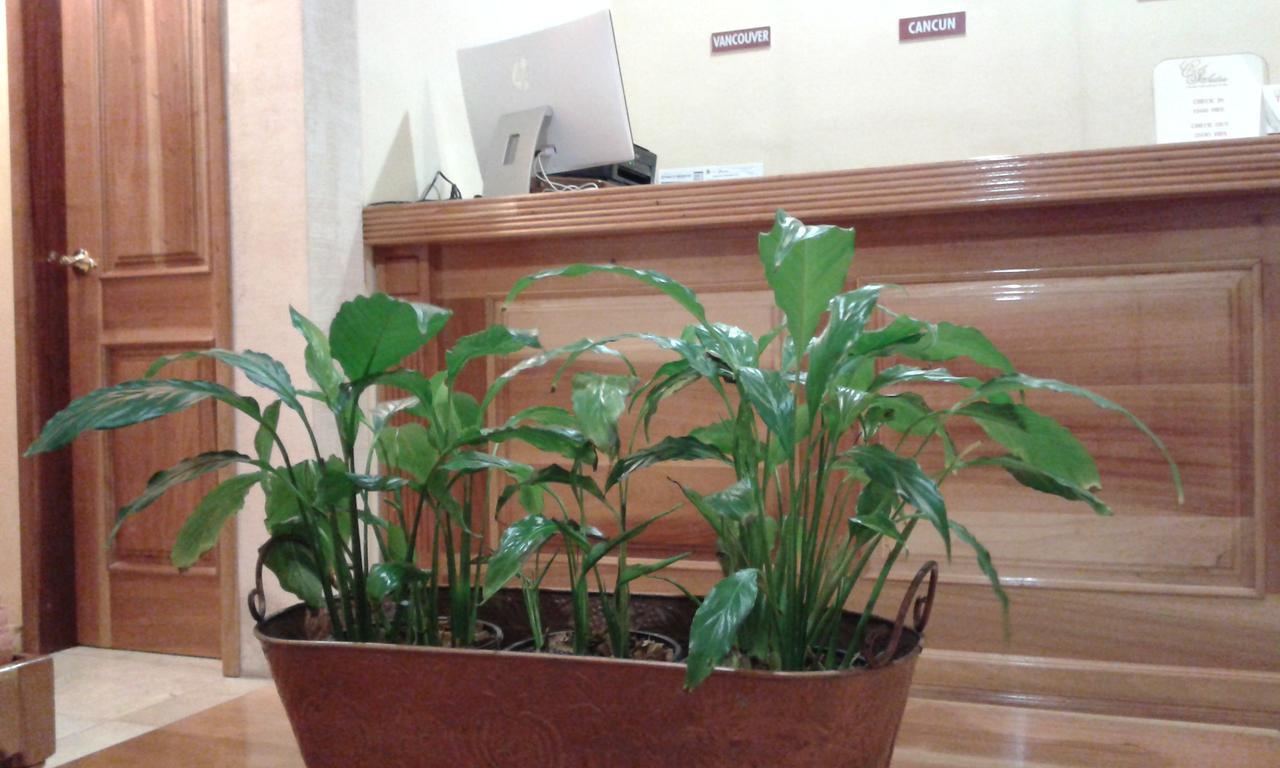 Cancun International Suites Екстериор снимка